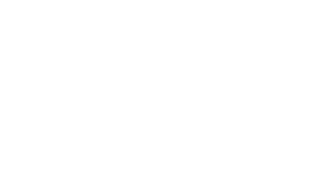 Flight Festival